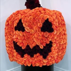 Meet your Posher, Ania